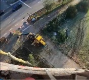Baumfaellung.mp4